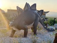 dinosaur national monument