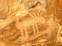petroglyphs