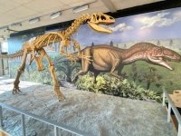 dinosaur national monument