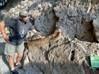 dinosaur national monument