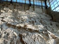 dinosaur national monument