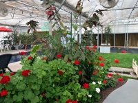 The Greenhouse Adult Tubs at Sand Dunes Hot Springs