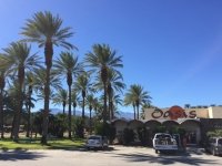 Oasis Date Farm