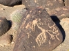 Petroglyphs at Painted Rock Campground Gila Bend, AZ