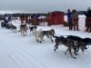 2024 Iditarod