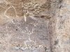 lava beds petroglyphs