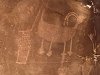 petroglyphs