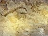dinosaur national monument