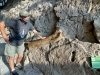 dinosaur national monument