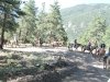 The Breakfast Ride up the hill at Vickers Ranch in Lake City, CO