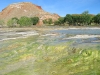 Thermopolis Wyoming Worlds Largest Hot Springs