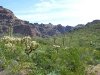 Organ Pipe Cactus National Monument