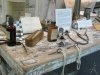 Missouri Veterinary Medical Foundation Museum
