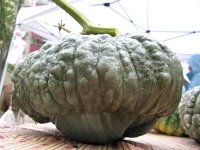 Are we out of our gourd?