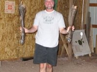 Sand Creek Proprty Elk Legs