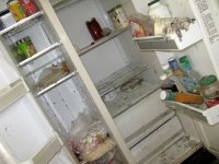 Cleaning Scary Moldy Foreclosure Home Fridge