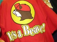 Stop Staring, It\'s a Beaver!