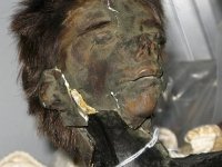 Shrunken Monkey Head MSU Anthropology Museum