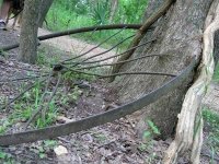 Palmetto State Park Trail