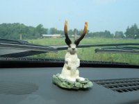 Our Dashboard Jackalope from Wall Drug