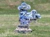 20080505w_chimayogrounds06.jpg