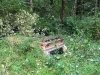 Rogue River Rain Forest Camper