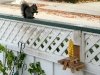 corn cob picnic table wood squirrel feeder craft project