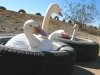 Slab City East Jesus Tire Decoys