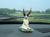 Our Dashboard Jackalope from Wall Drug