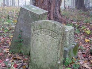 Forest Park Cemetery, Brunswick NY