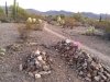 Old Bill and Shep Grave Site Indian Path Tucson Mountain Park Trails