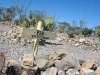 Boothill Cemetery Tombstone Arizona