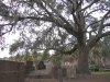 Savanah Cemetery