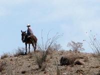 Vaquero de Mexico across the Rio Grande
