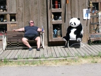 Lake City Colorady Fat Man and Panda