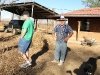 Bayfield Bunch Al at Arizona House Caretaking Job