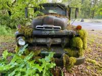moss truck