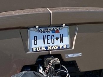 vegan RVers