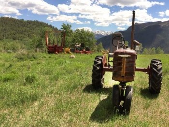 Vickers Old Farmall Tractor