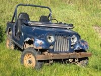 Old Blue