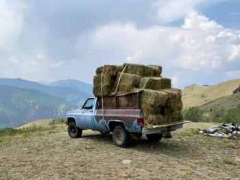 Hay Truck
