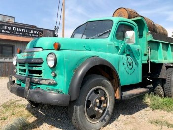Old Dodge Dumptruck at Willie's Distillery Ennis Montanna