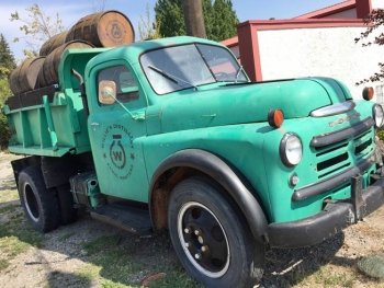 Old Dodge Dumptruck at Willie's Distillery Ennis Montanna
