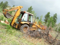 Hauling felled tree with 4WD Case 580K backhoe