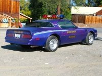 Bitchin Firebird of the Winthrop Marshall