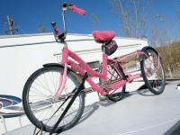 Fuzzy bike on Fernley, NV pop-up trailer at Desert Rose