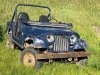 Old Blue