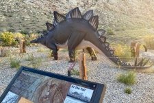 dinosaur national monument