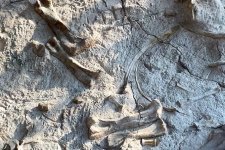 dinosaur national monument