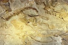 dinosaur national monument